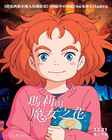 Mary and the Witch's Flower